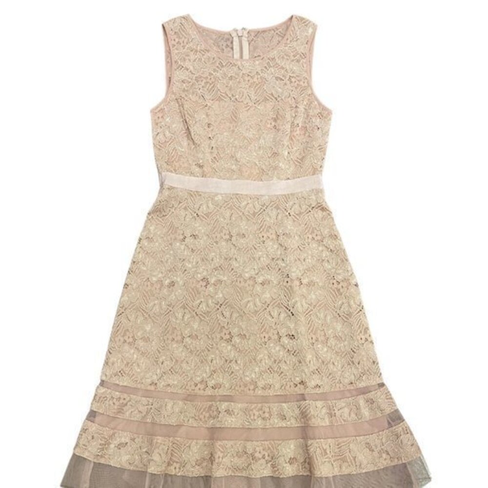 NWT BCBGMAXAZRIA "Elaina" Lace A-Line Dress in Shadow Blush - Size 2